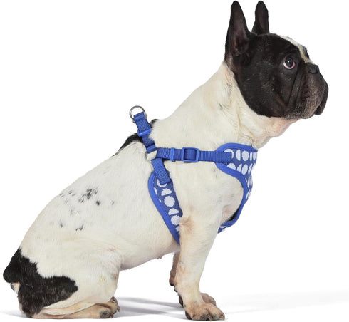 The Dodo Dog Harness, Blue Dodo Print, Size Medium; Easy Step-in Harness with Breathable Mesh Fabric