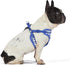 The Dodo Dog Harness, Blue Dodo Print, Size Medium; Easy Step-in Harness with Breathable Mesh Fabric