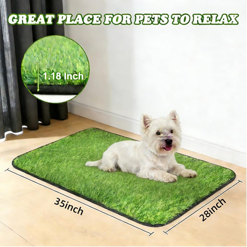 Xydsjjiao 28" 35" x Large Grass Pad for Dogs Potty, Artificial Grass, Soft Fresh Dog Potty Training Rug, Dog Pee Pad