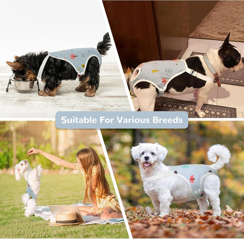 QBLEEV Dog Diapers Female Washable Sanitary Pantie with Adjustable Suspender, Reusable Doggie Diaper Puppy Diapers Male