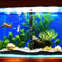 Fish Heater Guard Protector, Detachable Sleeve for Aquarium Heater with Suction Cups (#4)