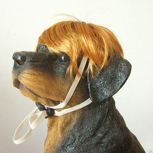 Tangpan Dog Pet High Temperature Wire Wig - Blue Short Style