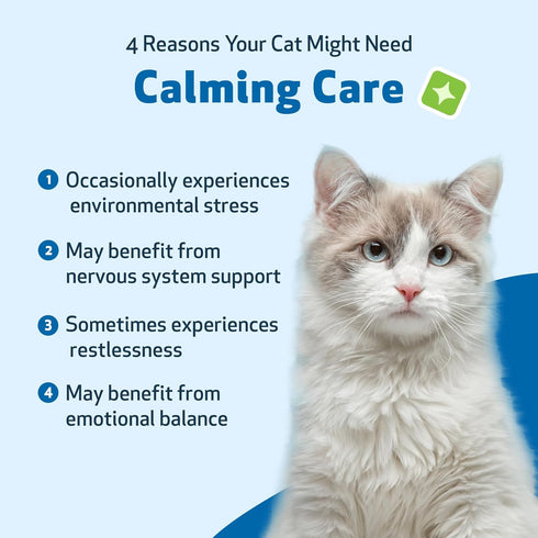 Pet Wellbeing Calming Care for Cats - Calm Support, Relaxed Nervous System, Emotional Balance - 2 oz (59 ml) Herbal