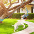LOOBANI Dog Spring Pole Toy for Pitbull - Durable Outdoor Tug Toy for Exercise & Bite Training, Blue
