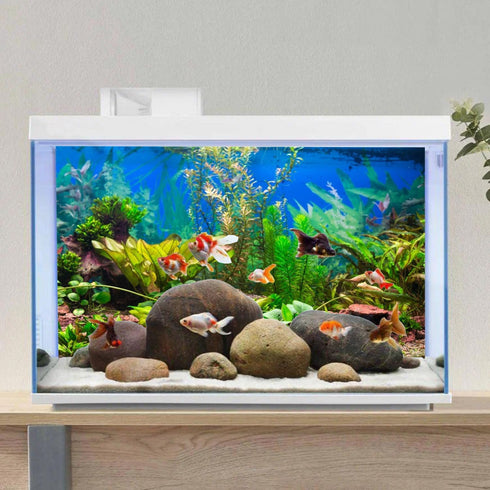 AWERT 48x24 inches Aquarium Background, Aquatic Plant River Bed & Lake Fish Tank Background Vinyl