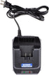 Wild Badger Power 20V 2Ah Fast Charger Cordless