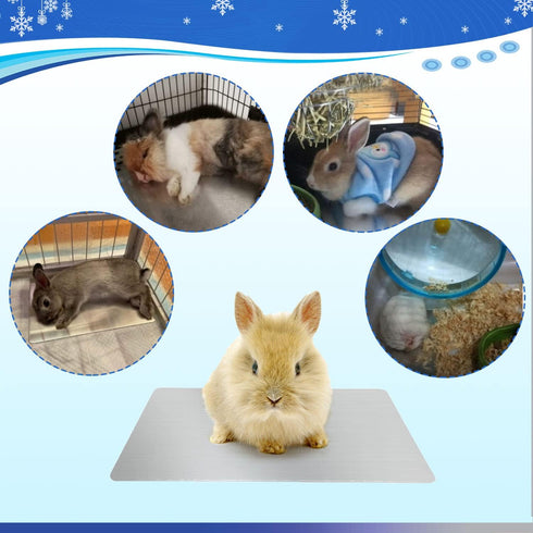 Rabbit Cooling Pad, 11.8x7.9 in Hamster Cooling Mat for Small Pets, Bite Resistant Ice Bed to Stay Cool This Summer