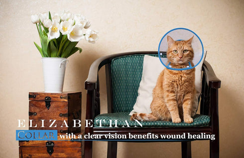 Cat Cone Collar, Recovery Elizabethan After Surgery, Clear Soft Neck E-Collar, for Kitten Puppy Dog