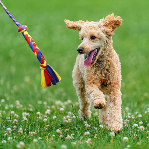 Flirt Pole for Dogs, Interactive Lures Durability Rope, Chase and Tug of War Puppy Toy for Small Medium Dogs