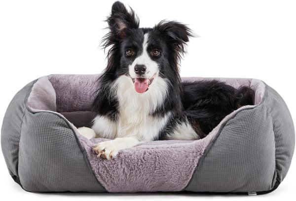 MIXJOY Dog Beds for Medium Dogs, Washable Orthopedic Rectangle Bed, Soft Rabbit-Velvet Cozy Cuddler with Anti-Slip