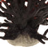 VOCOSTE Mini Faux Coral Decor, Black Red Coral Reef for Aquarium Decorations, 6.5"x5.83"