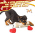 2 Pcs Heartbeat Puppy Toy, Heartbeat Simulator for Pet Anxiety Relief, Calming Toys for Dogs and Cats