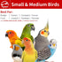Finches Agape Rotating Parrot Perch Toy with Chew Toy, Natural Wooden Perch Stand for Small & Medium Birds, Bird Cage