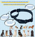 Martingale Dog Collars - Heavy Duty Nylon Reflective Collar with Quick Release Buckle for Dogs (Black, Extra Small)