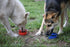 Mr. Peanut's Collapsible Dog Bowls, Set of 3 Colors, Dishwasher Safe BPA Free Silicone Portable Pet Bowls for Travel,