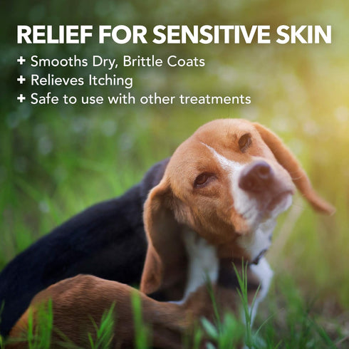 16 oz Vet's Best Hypo-Allergenic Shampoo for Dogs | Dog Shampoo for Sensitive Skin | Relieves Discomfort from Dry