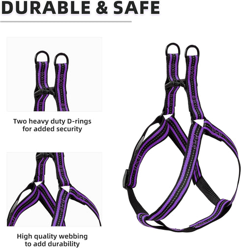 Mile High Life Night Reflective Double Adjustable Band Nylon Dog Combo Collar Leash and Harness Set, Purple, Large