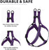 Mile High Life Night Reflective Double Adjustable Band Nylon Dog Combo Collar Leash and Harness Set, Purple, Large