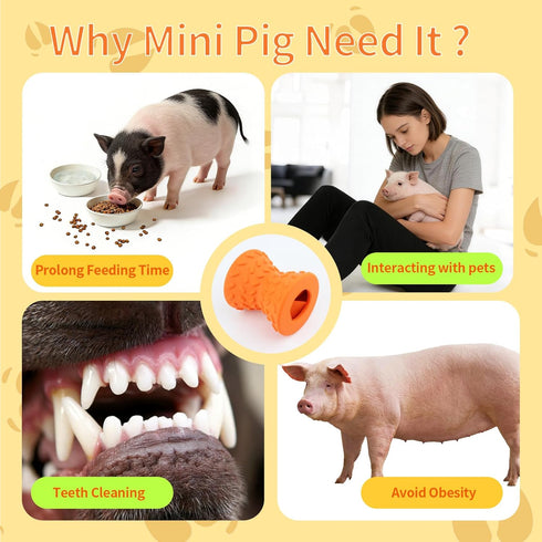 Treat Dispensing Ball for Pigs, Pig Enrichment Toys Food Dispenser for Mini Pigs, Slow Feeder Training Toy Pet