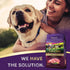 Zignature Goat Limited Ingredient Formula Dry Dog Food, 4 lb