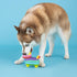 Life'S A Paw-Ty Dog Toy by Fringe Studio, Latex, Pet Shop Collection (366012)