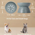 Elevated Slow Feeder Bowl for Cats and Small Dogs, Ceramic Anti-Tipping & Spill-Proof, Easy to Clean, No Black Chin