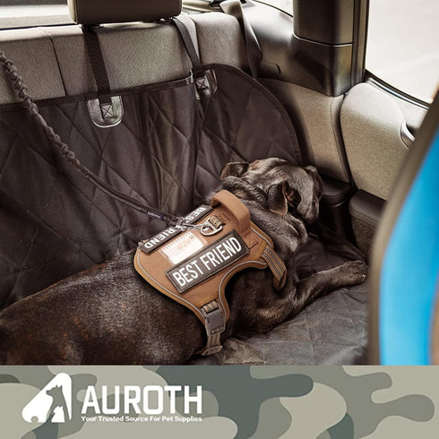 AUROTH Dog Leash, Heavy Duty Bungee, No Pull for Shock Absorption, Black Dog Training Leash for Medium Large Breed