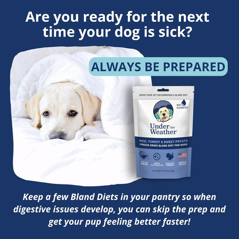 Under the Weather Easy to Digest Bland Diet for Sick Dogs, Gluten Free, Freeze Dried Turkey, Rice & Sweet Potato