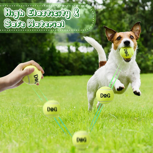 40 Pack Tennis Balls for Dogs - 2.5 Inch Easy Catching Fetch Toys with Carry Bags for Training and Exercise