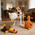 Squeaky Stuffed Dog Toys Fat Plush Chicken Chew Toy, Cute & Funny Interactive Puppy Toy for Small, Medium & Large