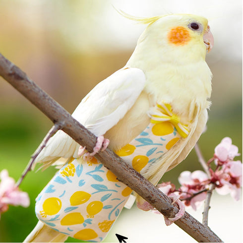UtySty 2 Pack Bird Diaper Parrot Nappy Bird Flight Suits Harness Cockatiel Diaper Small Birds Clothes for Parakeet