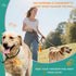 Pet Rhythm 360 counts 13x9 Inch Citrus Scented Dog Poop Bags - Orange Pet Waste Bags with Dispensers, Extra Large