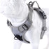 Truelove Soft Front Dog Harness, Reflective No Pull with Handle and 2 Leash Attachments, Gray