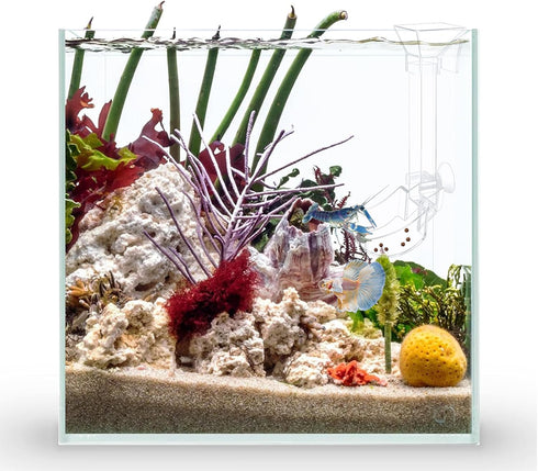 Aquarium Fish Shrimp Feeding Dish Set - Clear Feeder Tube and Dish with Cleaning Brush for Feeding Supplies
