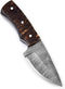 Poshland BC-69 Handmade Damascus Steel Skinner Knife - 5.50 Inches Full Tang