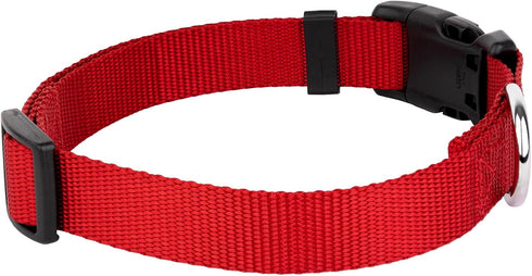 Country Brook Petz Dog Collar, American-Made, Large, 1 Inch Wide, Deluxe Heavy Duty Nylon, Red