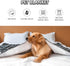 Waterproof Dog Blanket, Super Soft Warm Fluffy Facecloth Sofa Car Bed Protector, Urine Proof Washable Outdoor Pet