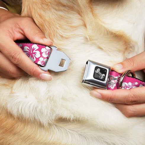Buckle-Down Hibiscus Dog Collar Bone, Neon Pink/White, 1" Wide - Fits 9-15" Neck - Small