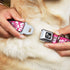 Buckle-Down Hibiscus Dog Collar Bone, Neon Pink/White, 1" Wide - Fits 9-15" Neck - Small