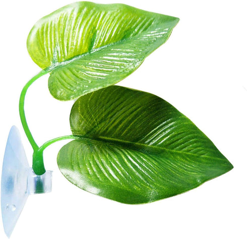 Betta Fish Leaf Pad, Natural Organic Rest Area, Improves Betta's Health by Simulating Natural Habitat