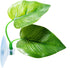 Betta Fish Leaf Pad, Natural Organic Rest Area, Improves Betta's Health by Simulating Natural Habitat