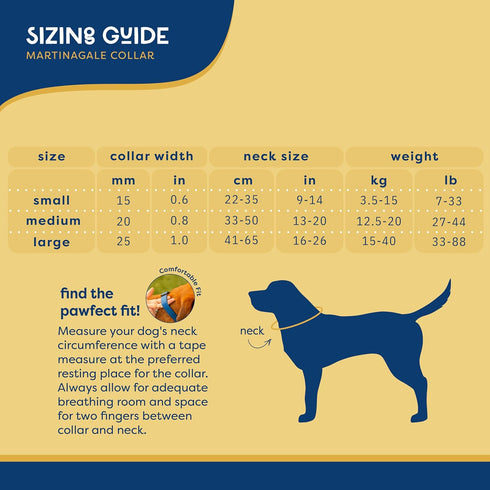 Good Scout Martingale Heavy Duty Dog Collar - Durable Slip-On Collar for Puppies & Adult Dogs, Blue, Large
