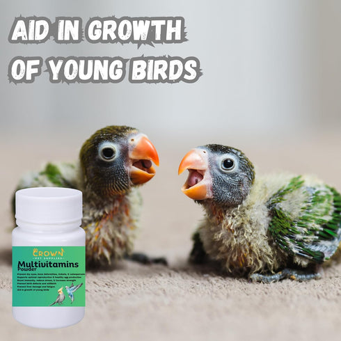 Crown Pet Supplies 50g Multivitamin Powder for Birds Ultimate Vitamin Formula for Racing & Breeding Supports Growth
