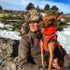 Best Pet Supplies All Weather Mesh Reflective No Pull Harness for Small Medium Dogs, Cats - Orange/Black Trim