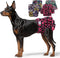 Female Dog Diapers Reusable No Tail Hole Period Panties Washable Diapers Female