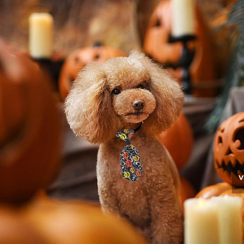 100pcs Halloween Dog Bow Ties Bulk Adjustable Neckties for Small Medium Dogs, 25 Set Pumpkin Patterns for Party Holiday