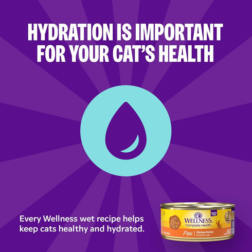 3 oz, Pack 12 Wellness Complete Health Gravies Adult Canned Wet Cat Food, Natural, Protein Rich, Grain Free, Chicken