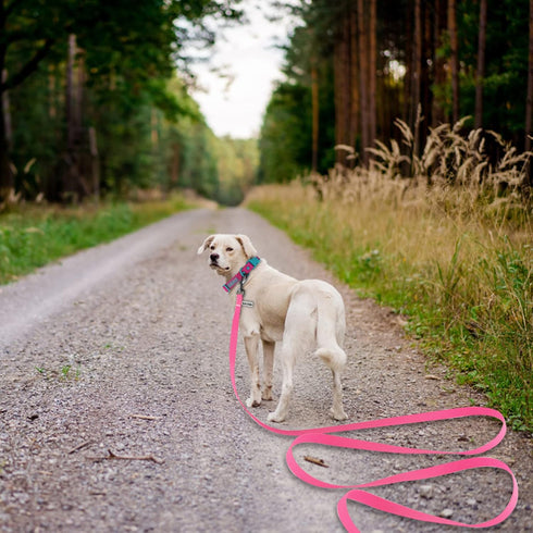 10ft Pink Long Leash | Waterproof Training Dog Leash for Recall, Swimming, Camping, Beach, Hunting, Walking
