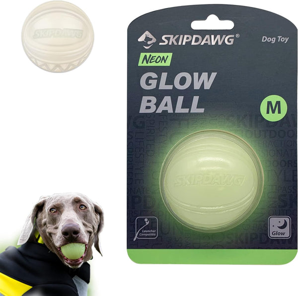 SKIPDAWG Interactive Squeaky Light Up Dog Ball | Glow in Dark, Floating Toy, Durable TPR, 2.5 Inches