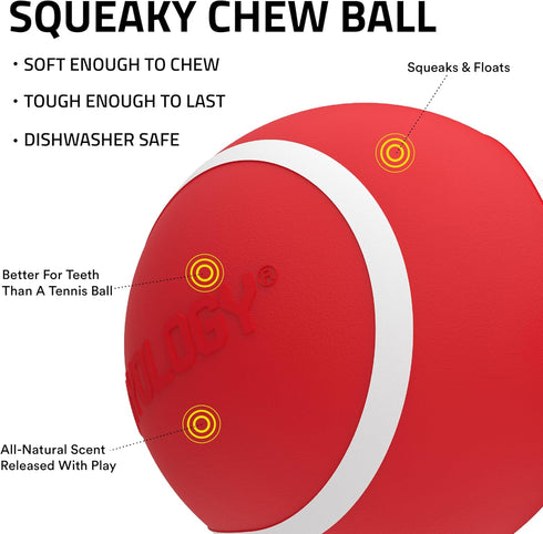 Playology Squeaky Dog Toy - Durable Rubber Interactive Fetch Ball for Large Dogs, Beef Scented Floating Dog Toy